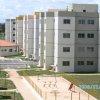 Obra Entregue Flores